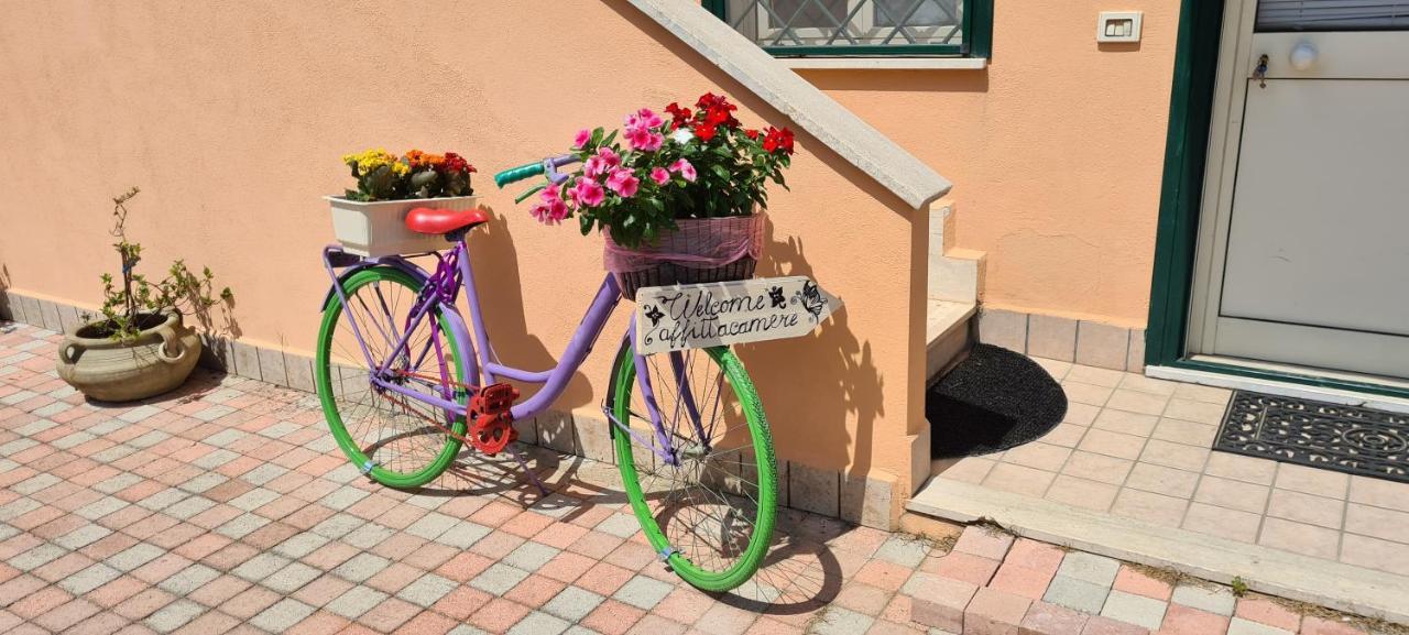 I Villini Affittacamere Fiumicino Buitenkant foto